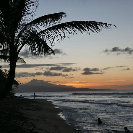 La Villa Caribeenne De La Plage Des Surfeurs لا ترينيت المظهر الخارجي الصورة