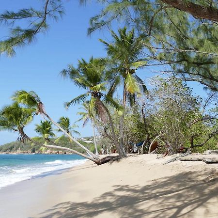 La Villa Caribeenne De La Plage Des Surfeurs لا ترينيت المظهر الخارجي الصورة