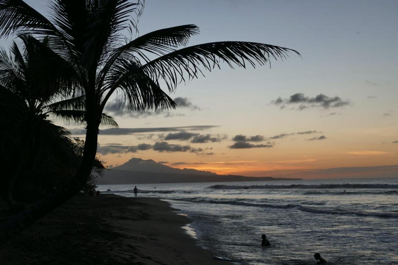 La Villa Caribeenne De La Plage Des Surfeurs لا ترينيت المظهر الخارجي الصورة